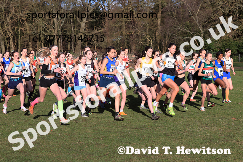 Girls under-15s 2025 Northern Cross Country Champs, Tatton Park, Knutsford, Cheshire. Photo: David T. Hewitson/Sports for All Pics